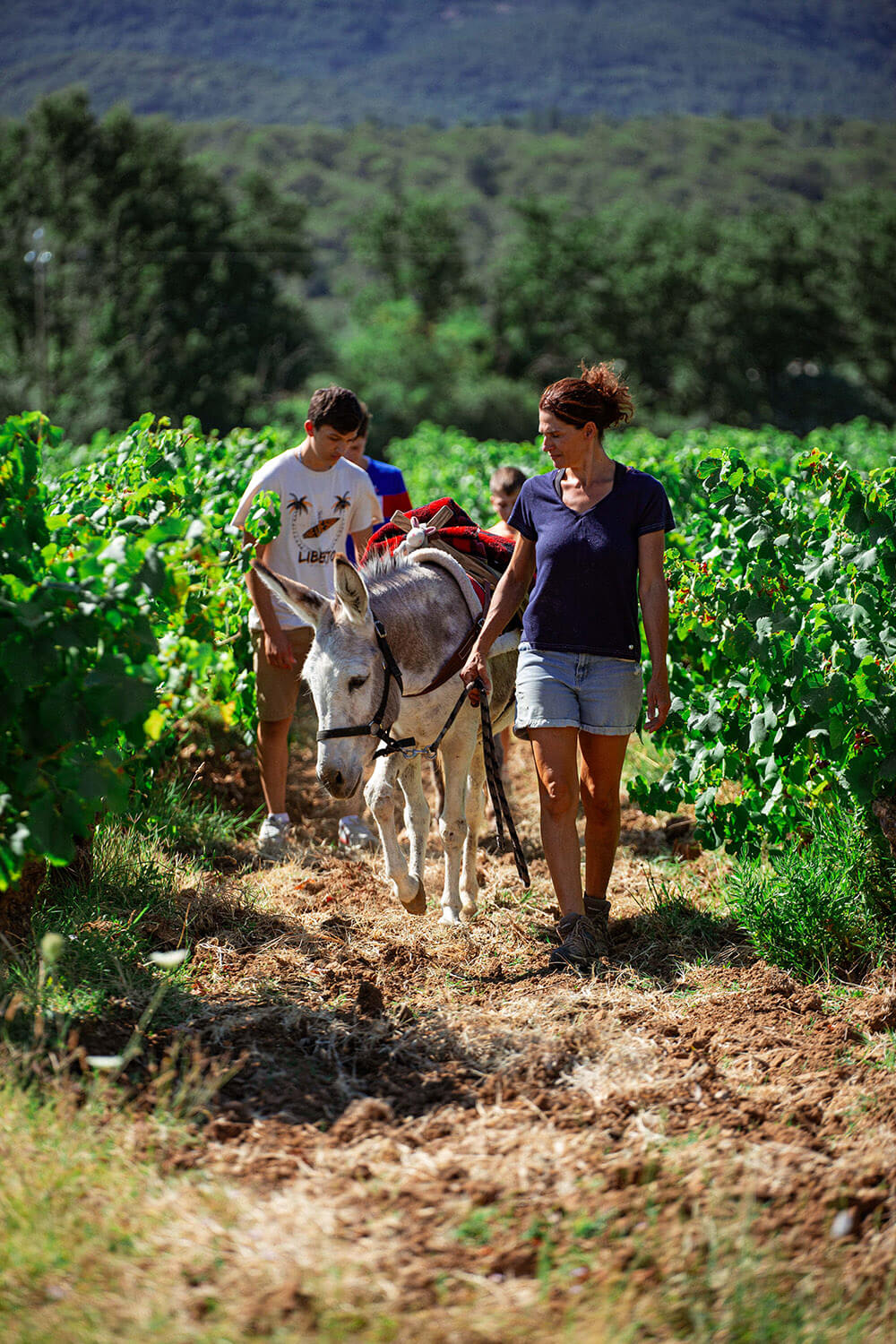 DES_SOURCES_STUDIO_PHOTOGRAPHE_VAR_TOULON_PIGNANS_repportage_metier_écuries_anes_chevaux_pension_des_ducs_2