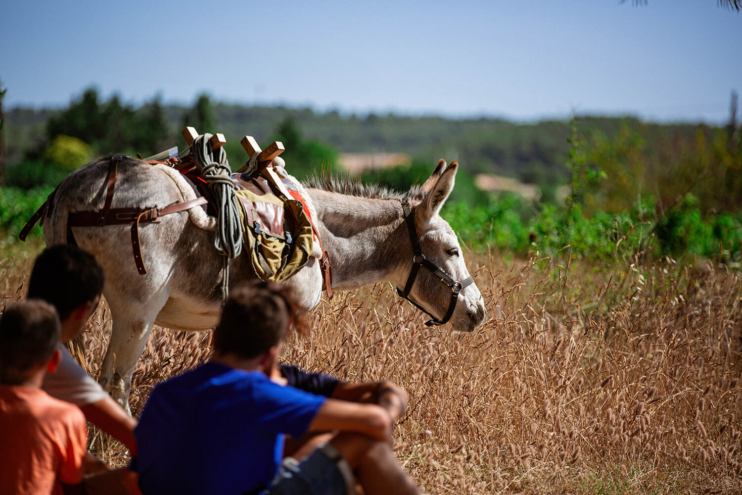 DES_SOURCES_STUDIO_PHOTOGRAPHE_VAR_TOULON_PIGNANS_repportage_metier_écuries_anes_chevaux_pension_des_ducs_3