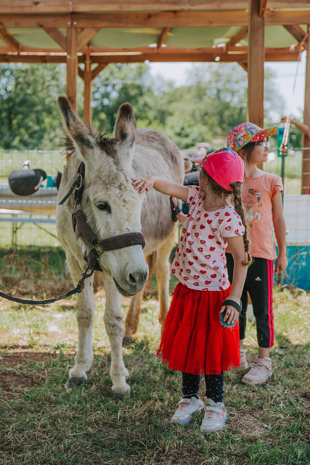 DES_SOURCES_STUDIO_PHOTOGRAPHE_VAR_TOULON_PIGNANS_repportage_metier_écuries_anes_chevaux_pension_des_ducs_5
